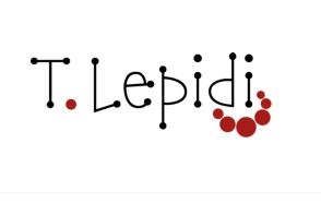 Lepidi